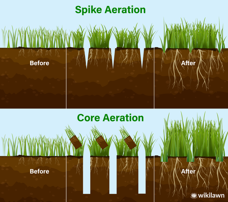 Aeration-illustration from lawn care wilson nc